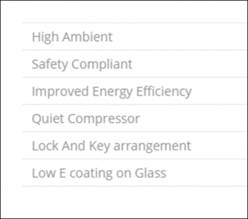 Western Hard Top Deep Freezer WHF225H 239 Ltrs for Ice Cream Parlours/Meat Centres/Dairy Centres/Restaurants