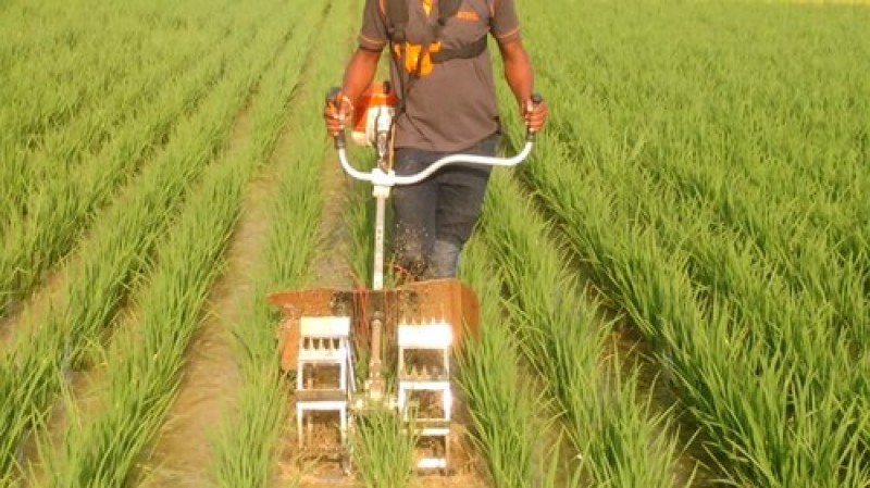 26mm Paddy Wheel Attachment for Brush Cutter Machine