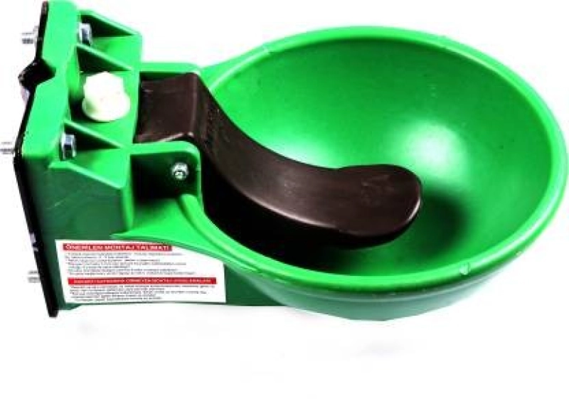 Cow drinking top water bowl